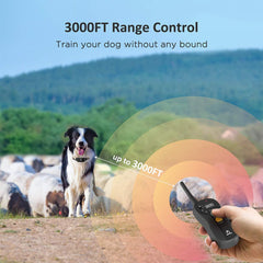 PATPET three-mode training system offers beeps, vibrations, and levels for customization.