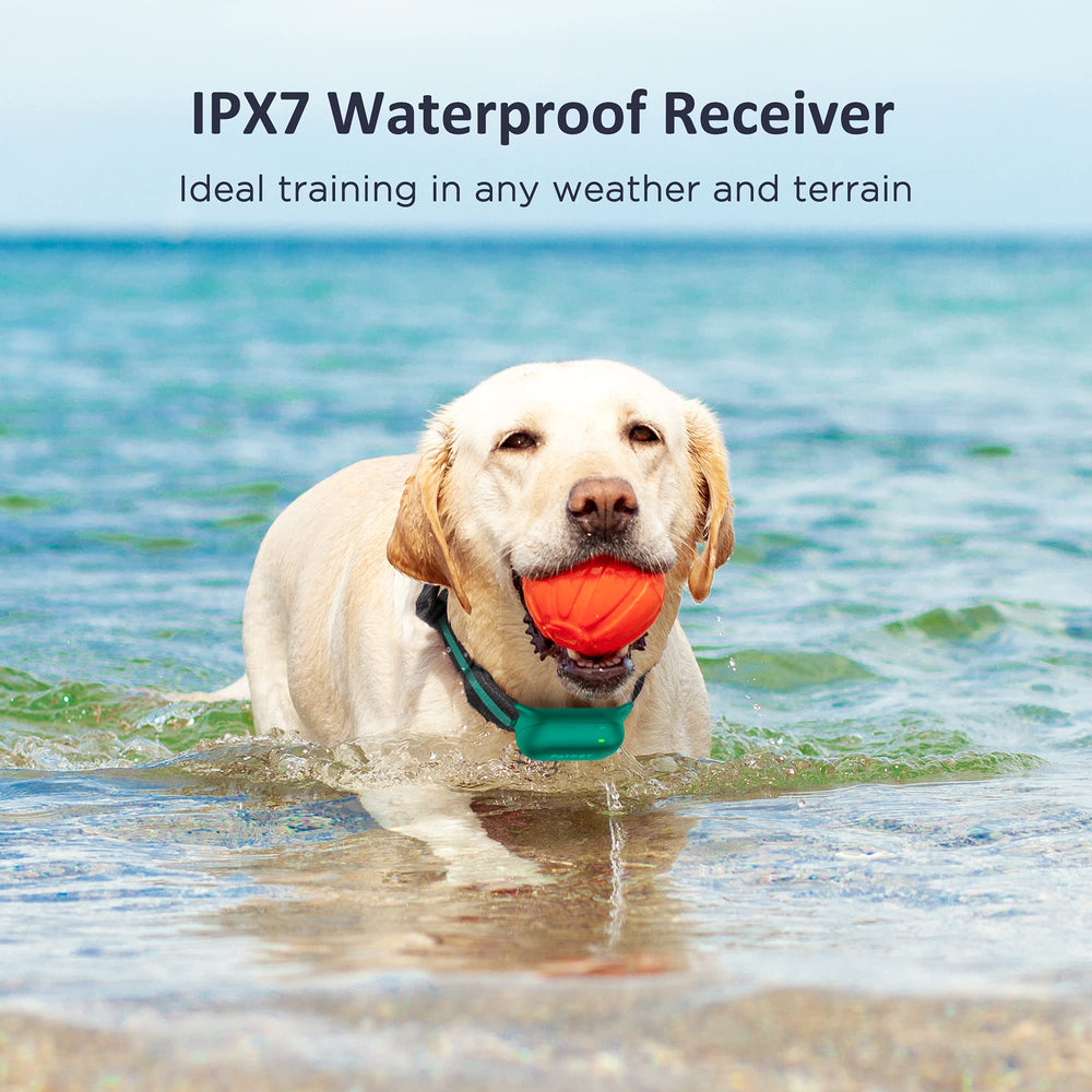 PATPET USB-C charger keeps collar powered for frequent training.
