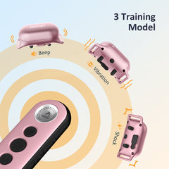 PATPET USB-C rechargeable collar powering long training sessions