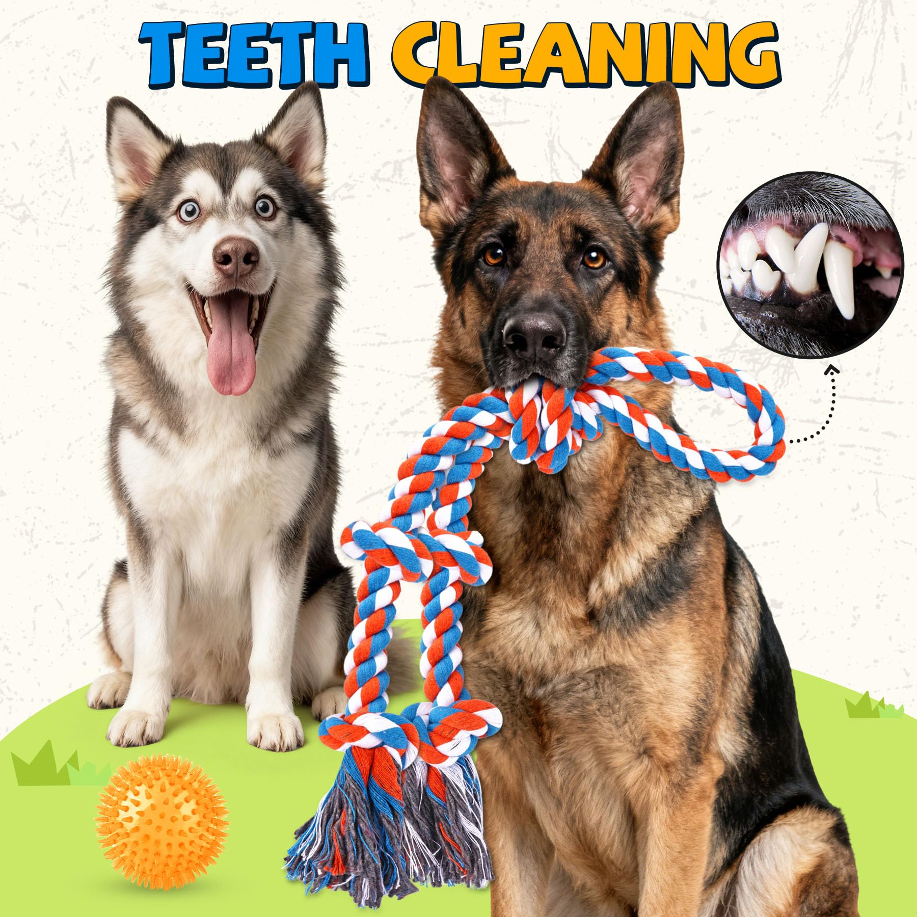 PatsFran interactive tug games strengthen bonding while keeping dogs busy indoors or outdoors.