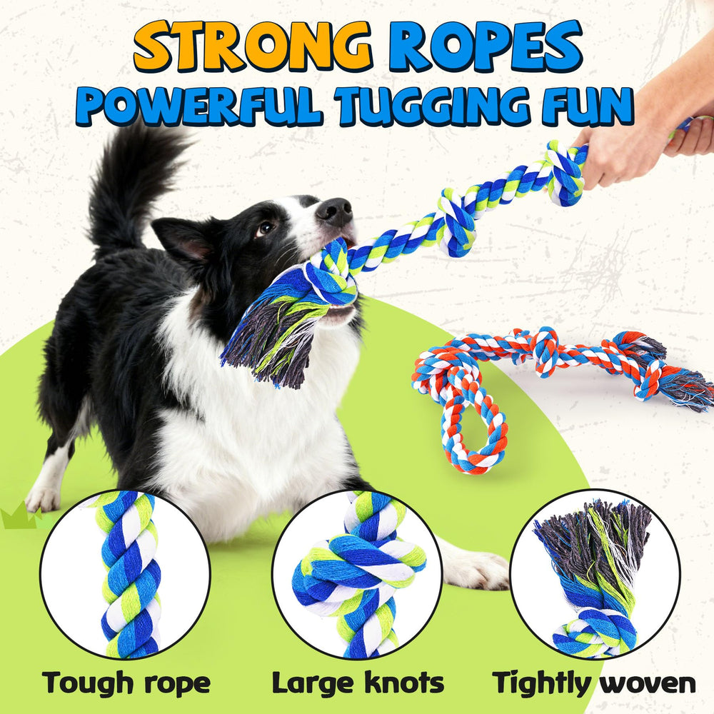 PatsFran squeaky ball adds extra fun during fetch and interactive games.