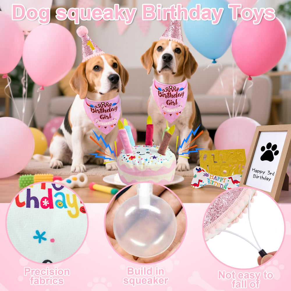 PATTEPOINT birthday hat on a dog, adjustable to fit and pose for photos.
