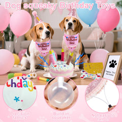 PATTEPOINT birthday hat on a dog, adjustable to fit and pose for photos.
