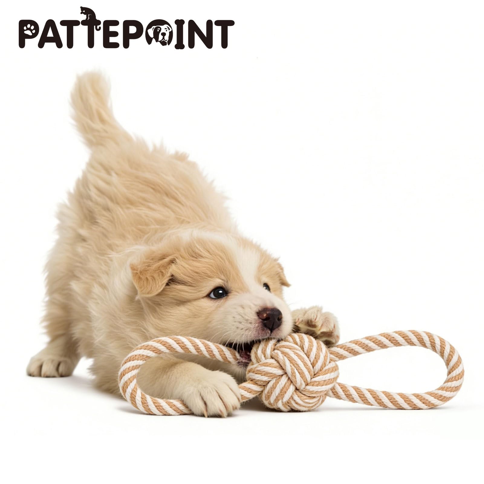 Pattepoint bonding play rope toy helps strengthen owner-pet connection