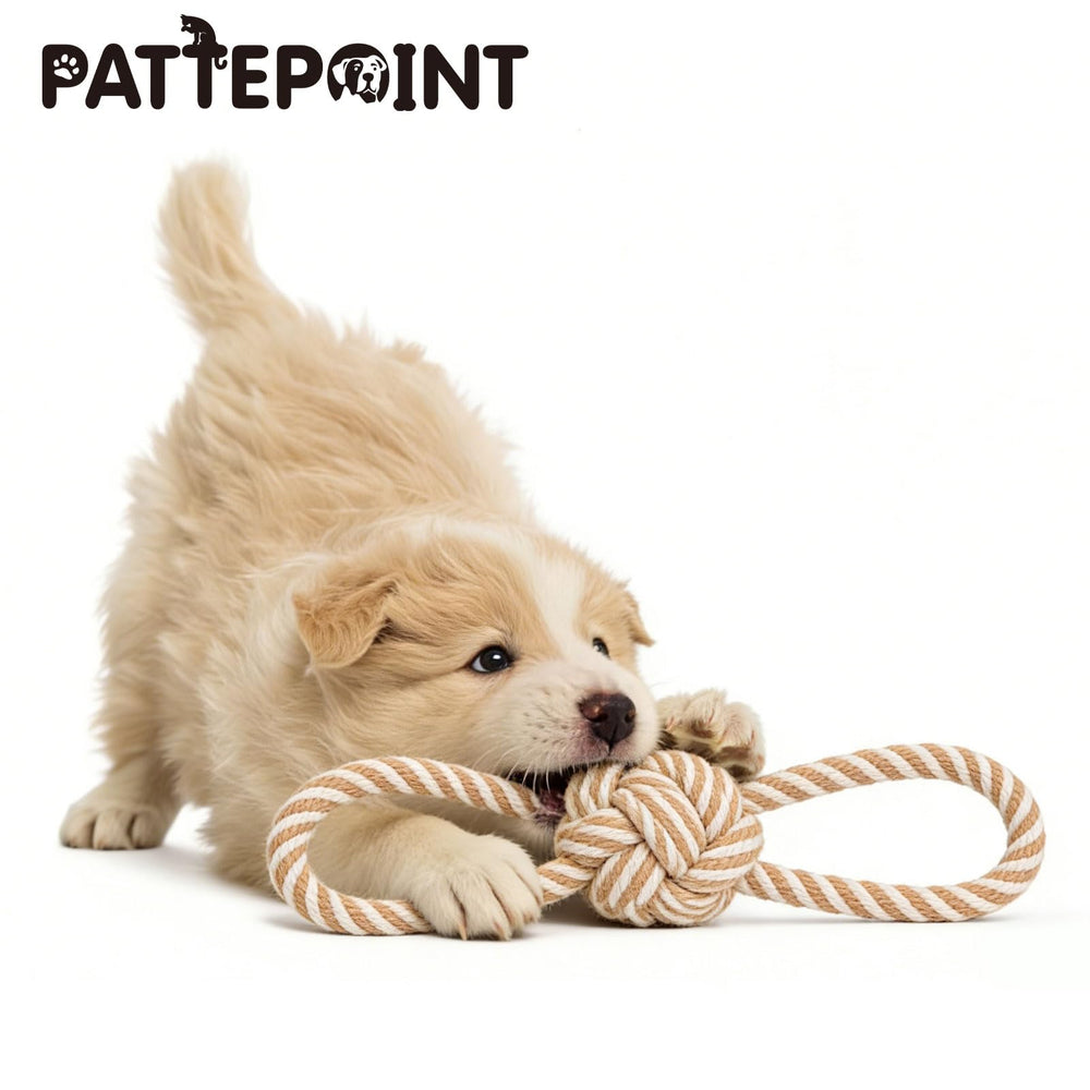 Pattepoint bonding play rope toy helps strengthen owner-pet connection