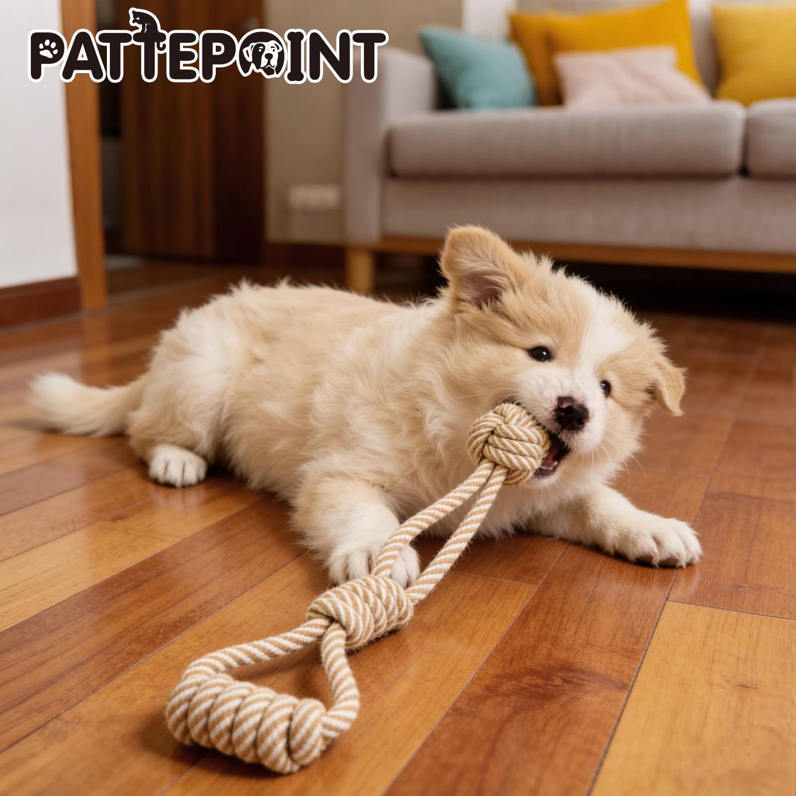 PATTEPOINT bond-building play rope toy shot inspires interactive games
