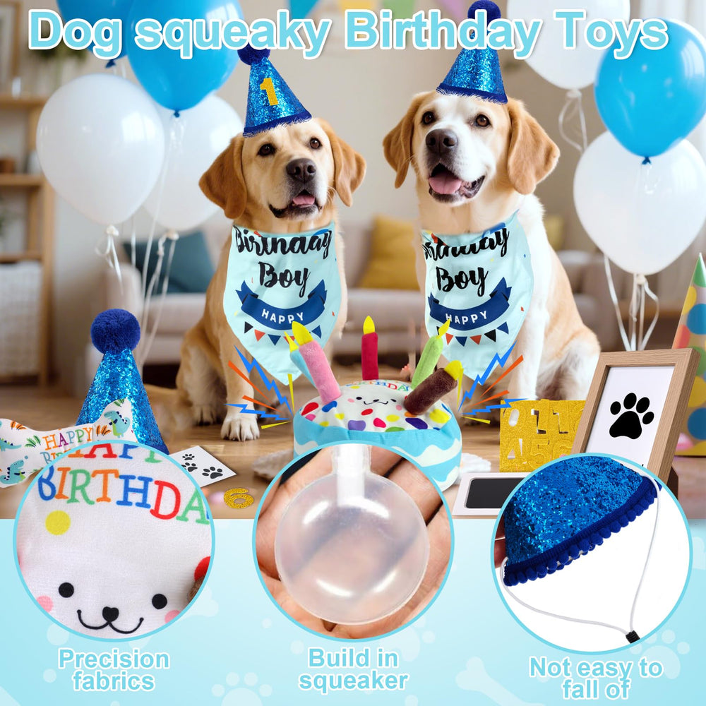 PATTEPOINT birthday hat adds festive style for dog parties.