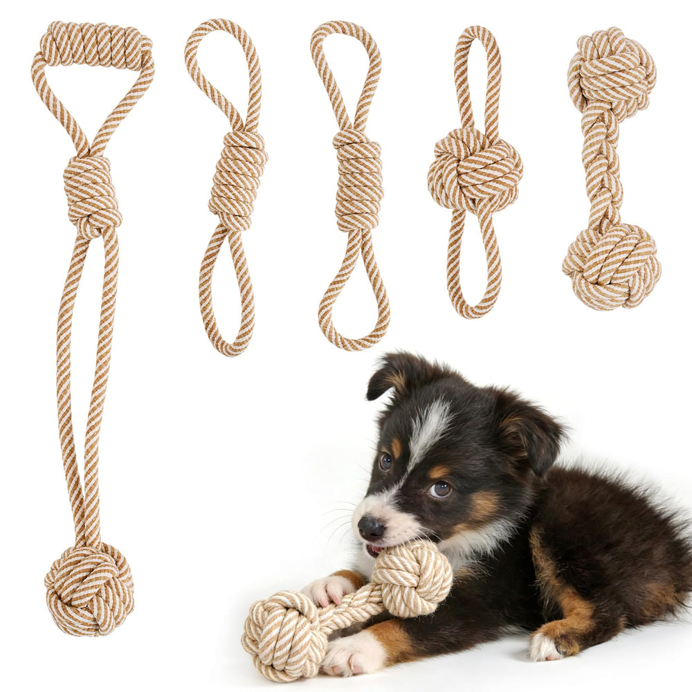 Pattepoint dog rope toy set for small dogs, durable play and teething comfort