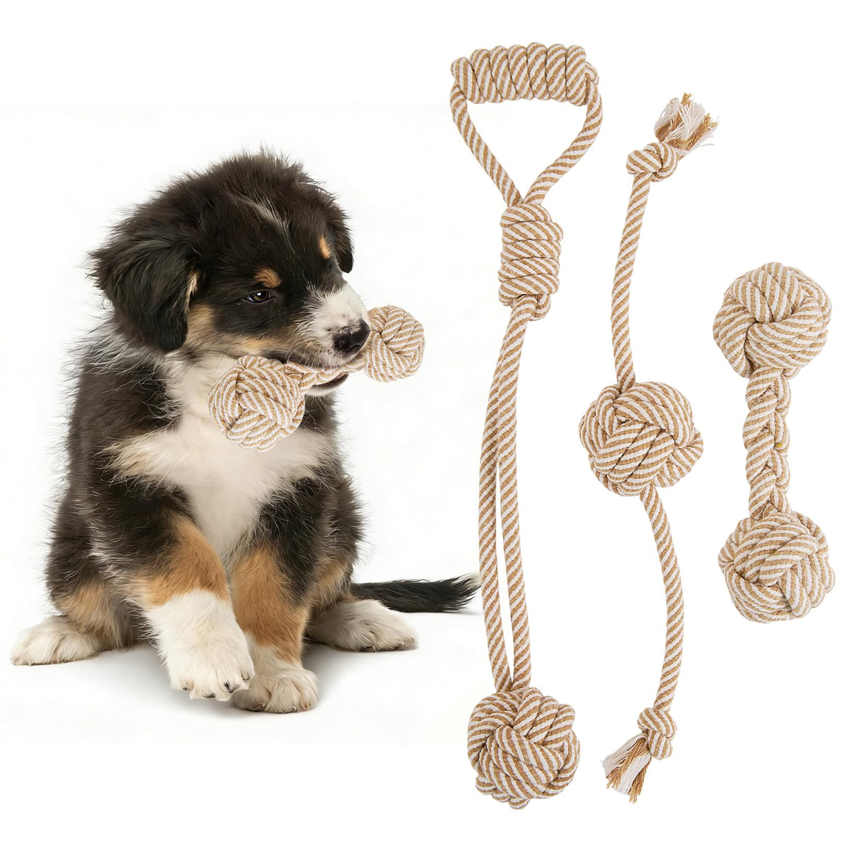 PATTEPOINT dog rope toy set close-up showing durable fibers for small dogs' playtime
