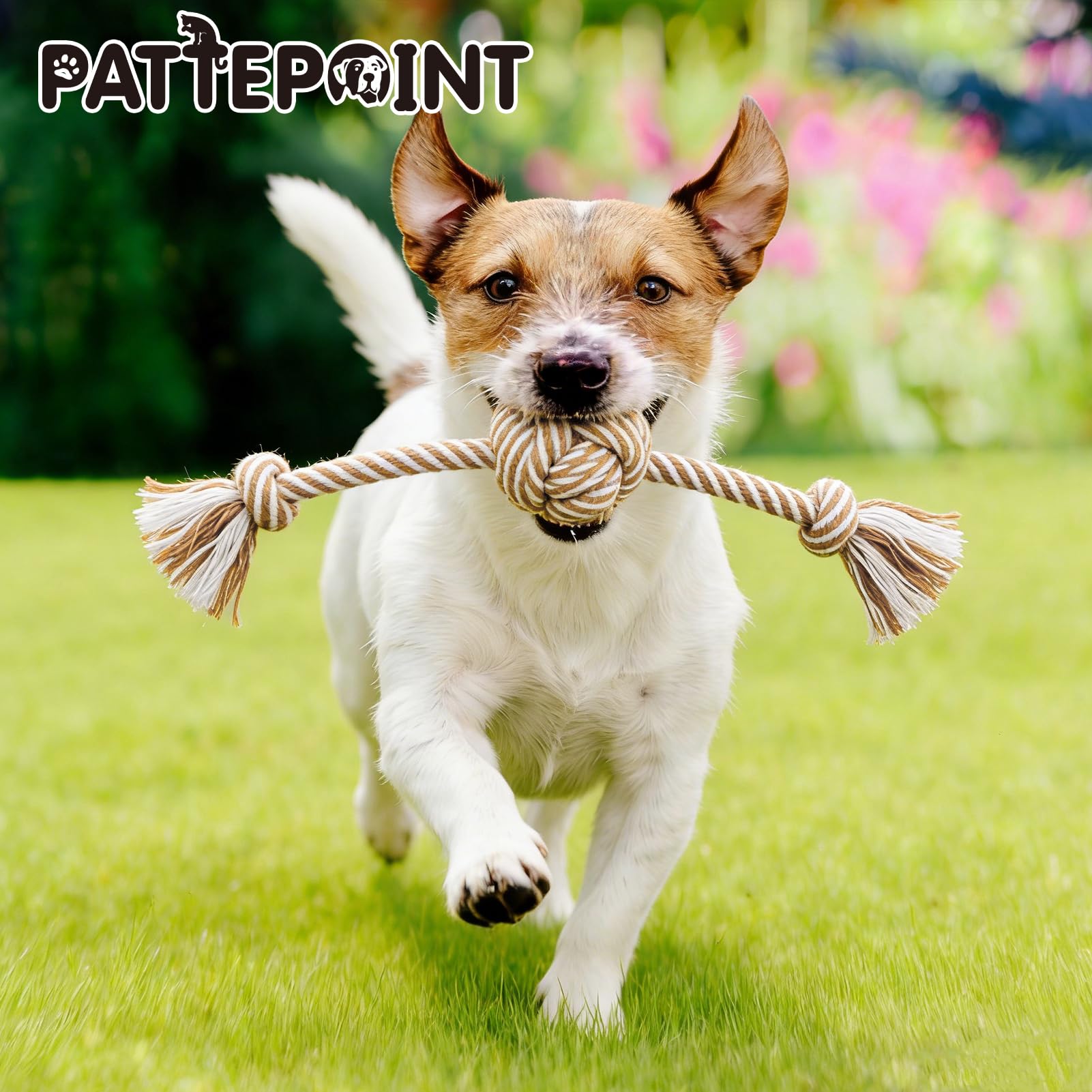 PATTEPOINT gift-ready rope toy for birthdays or holidays