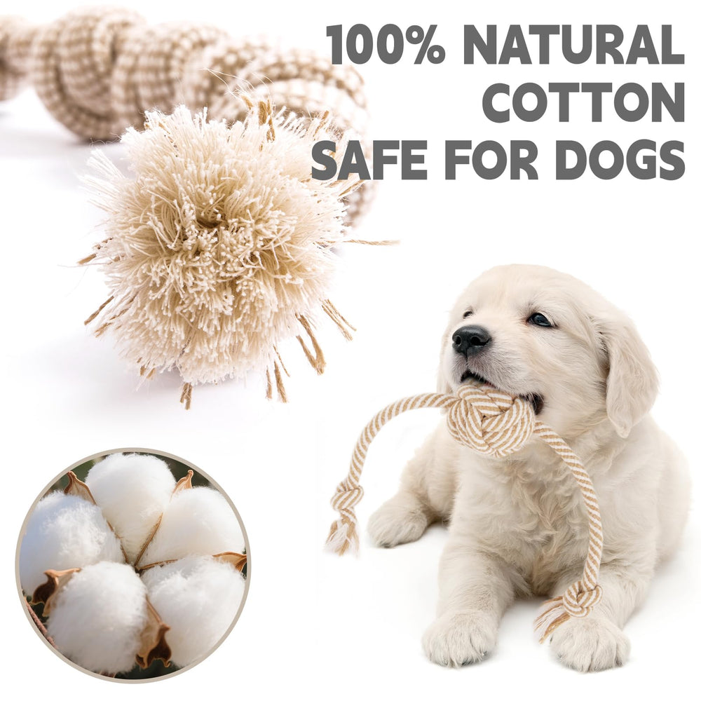 PATTEPOINT small-dog tug-of-war toy close-up highlights bonding-friendly play