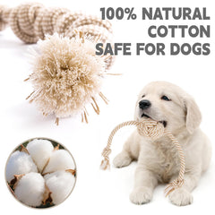 Pattepoint tug of war rope toy for small breeds in interactive play