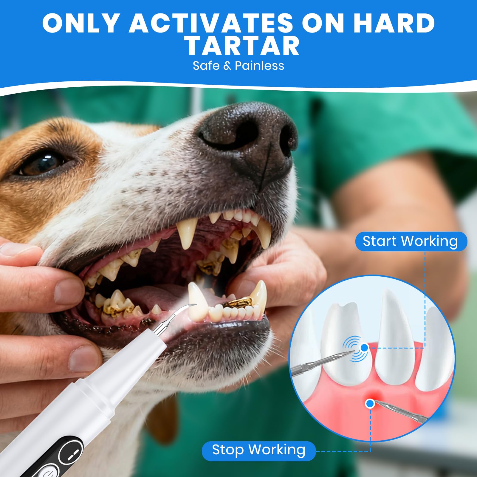PATWING dog plaque remover 5-mode control display for gentle dental care