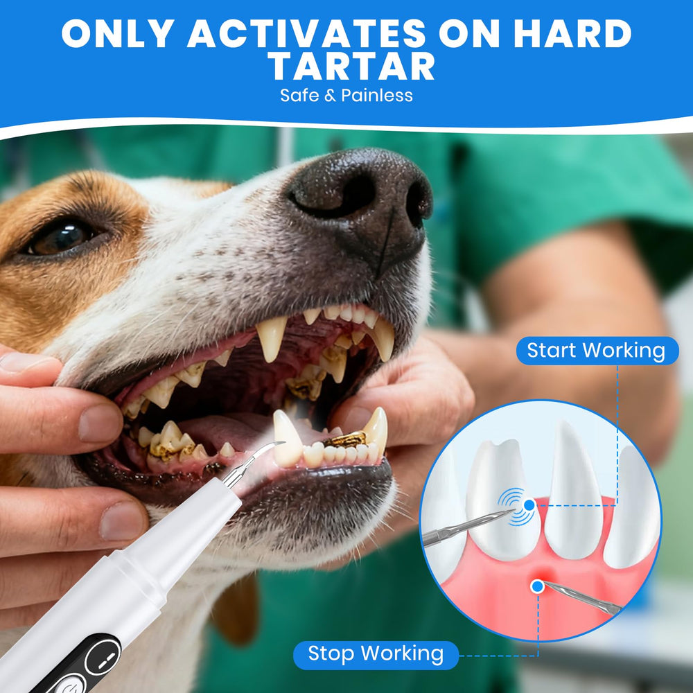 PATWING dog plaque remover 5-mode control display for gentle dental care