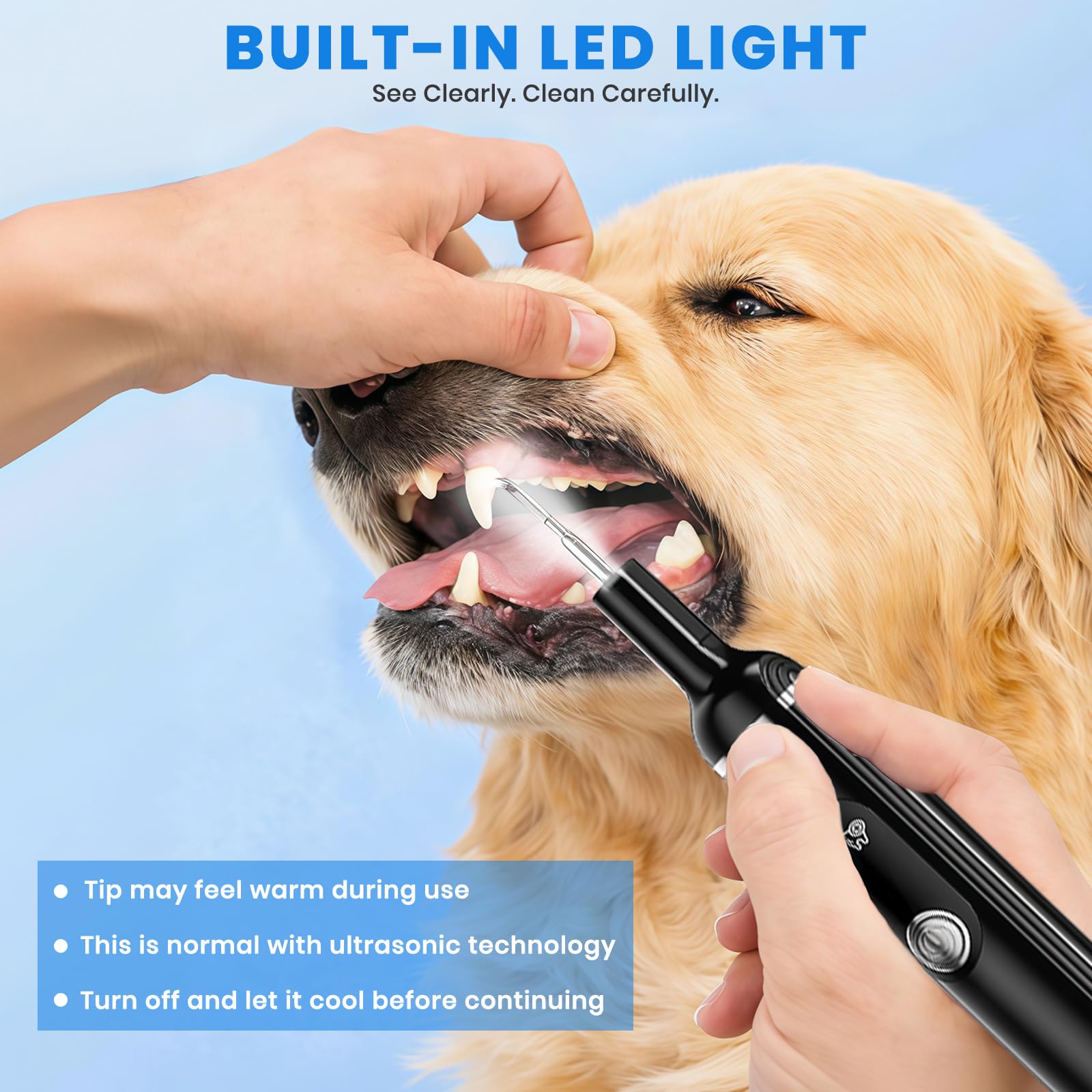PATWING dog plaque remover flat head for broad surface cleaning