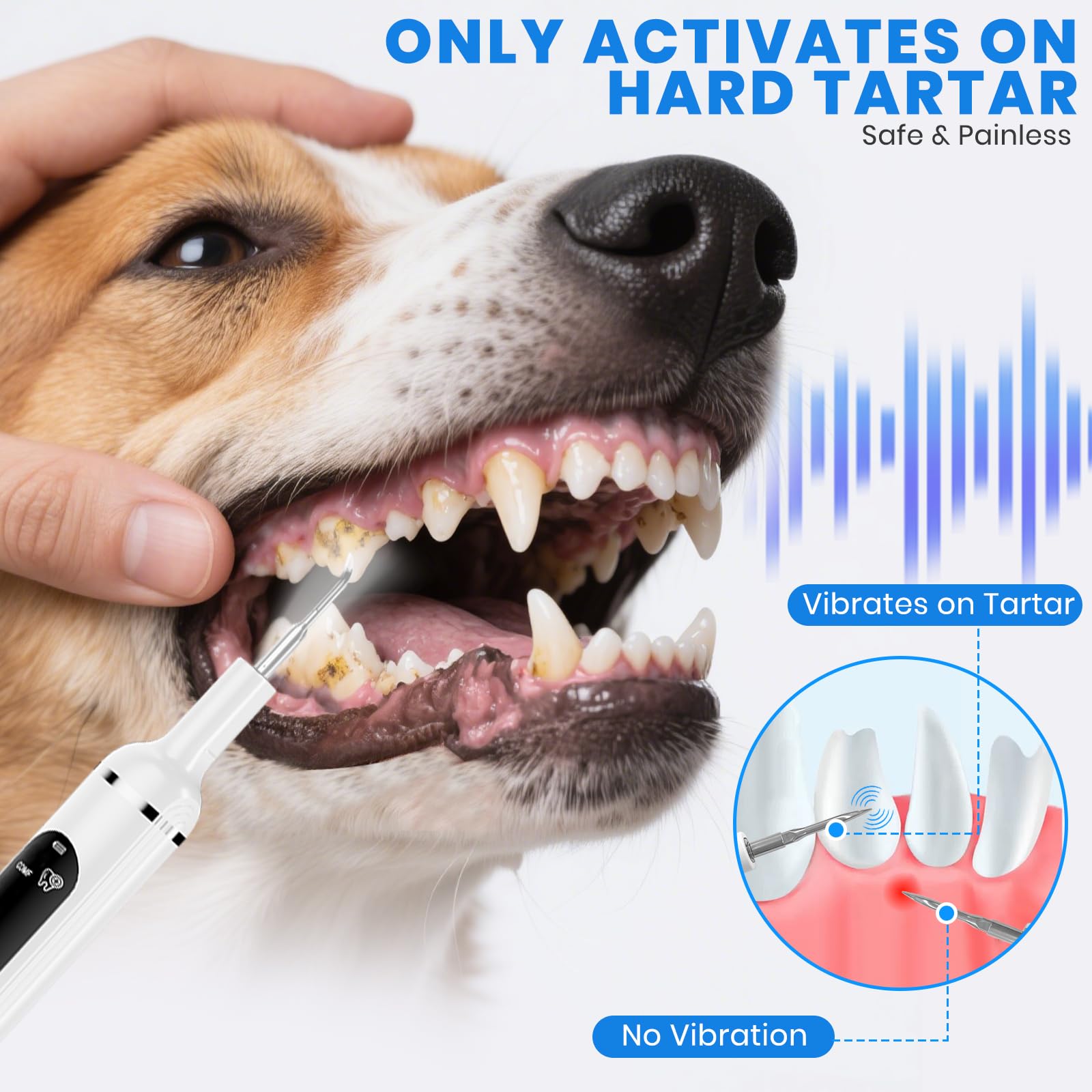 PATWING Dog Plaque Remover with LED light, illuminates tartar for easy cleaning.