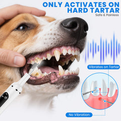 PATWING Dog Plaque Remover with LED light, illuminates tartar for easy cleaning.
