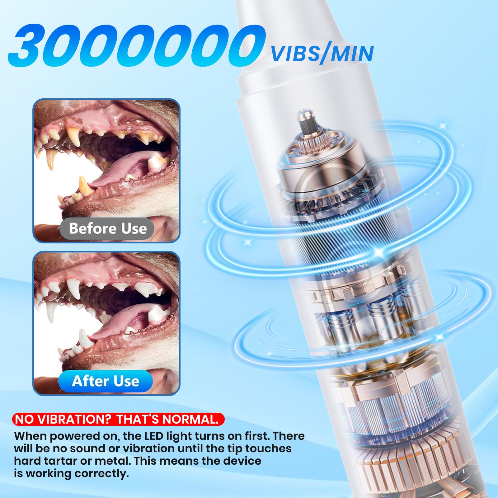 PATWING dog teeth-cleaning kit contents shown for complete home routine