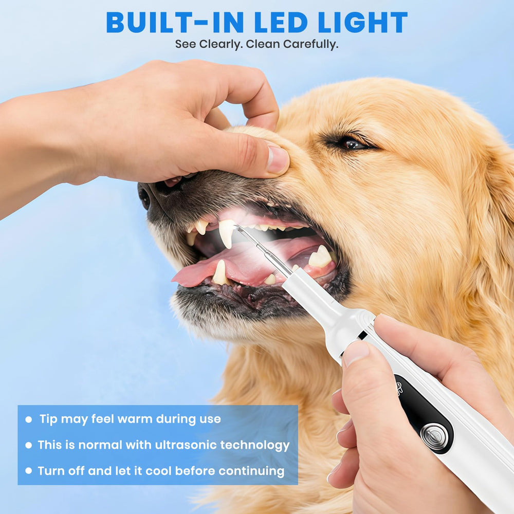 PATWING Oral mirror accessory for comprehensive at-home dental checks.
