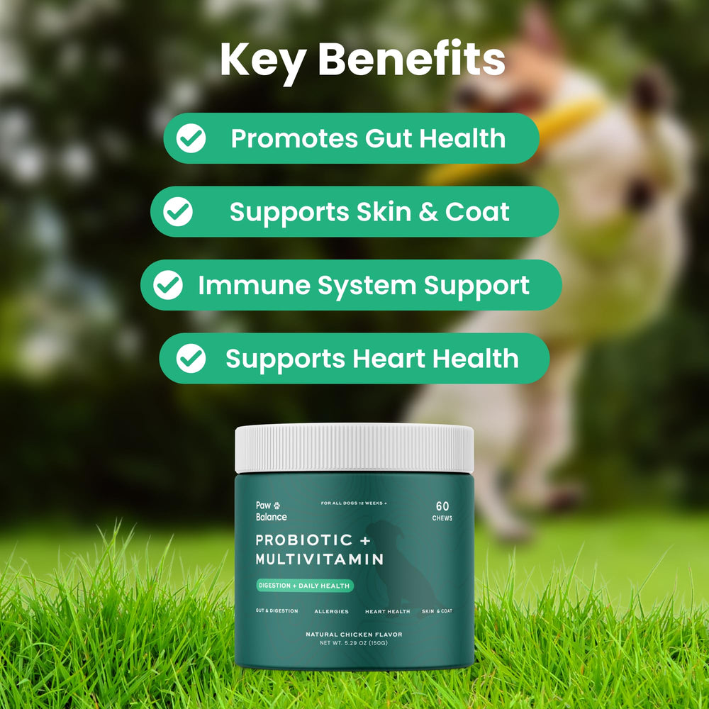 Paw Balance soft chews close-up highlighting tasty texture and digestive support