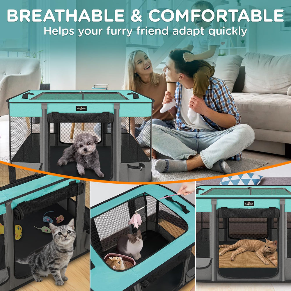 PAW BALLET quick-assembly design folds in minutes