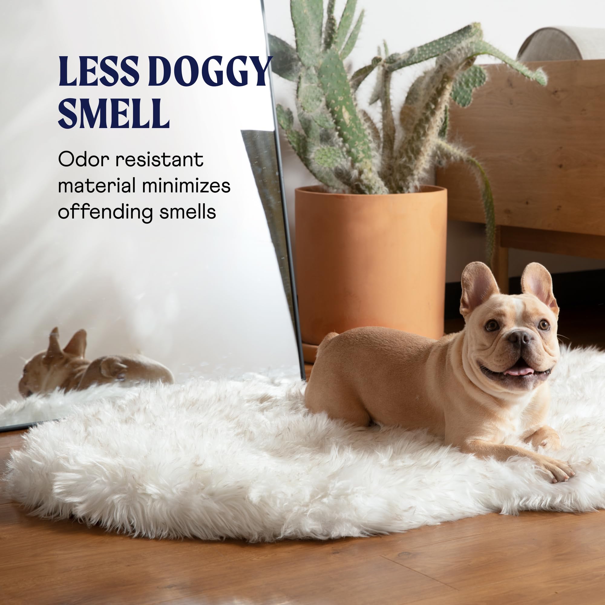 PAW BRANDS PupRug care instructions for maintenance