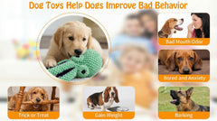 Paw-FECT Piece toy shown in multiple sizes for all breeds