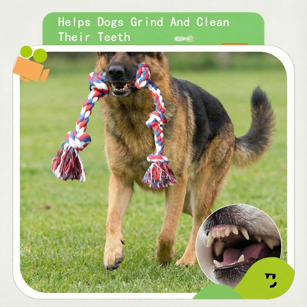 Paw-FECT Piece tested for aggressive chewers to reduce boredom