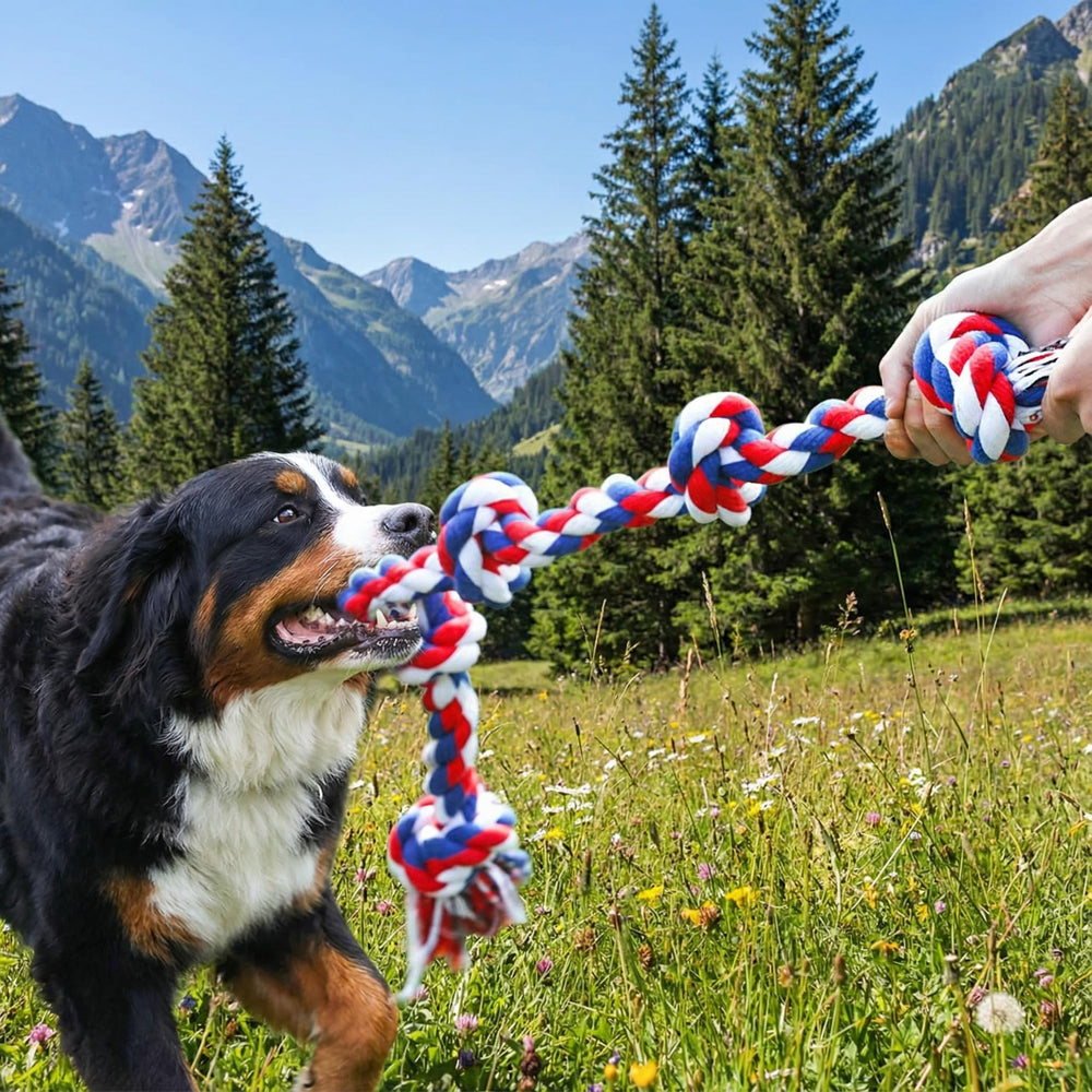 Paw-FECT Piece rope toy machine washable after play