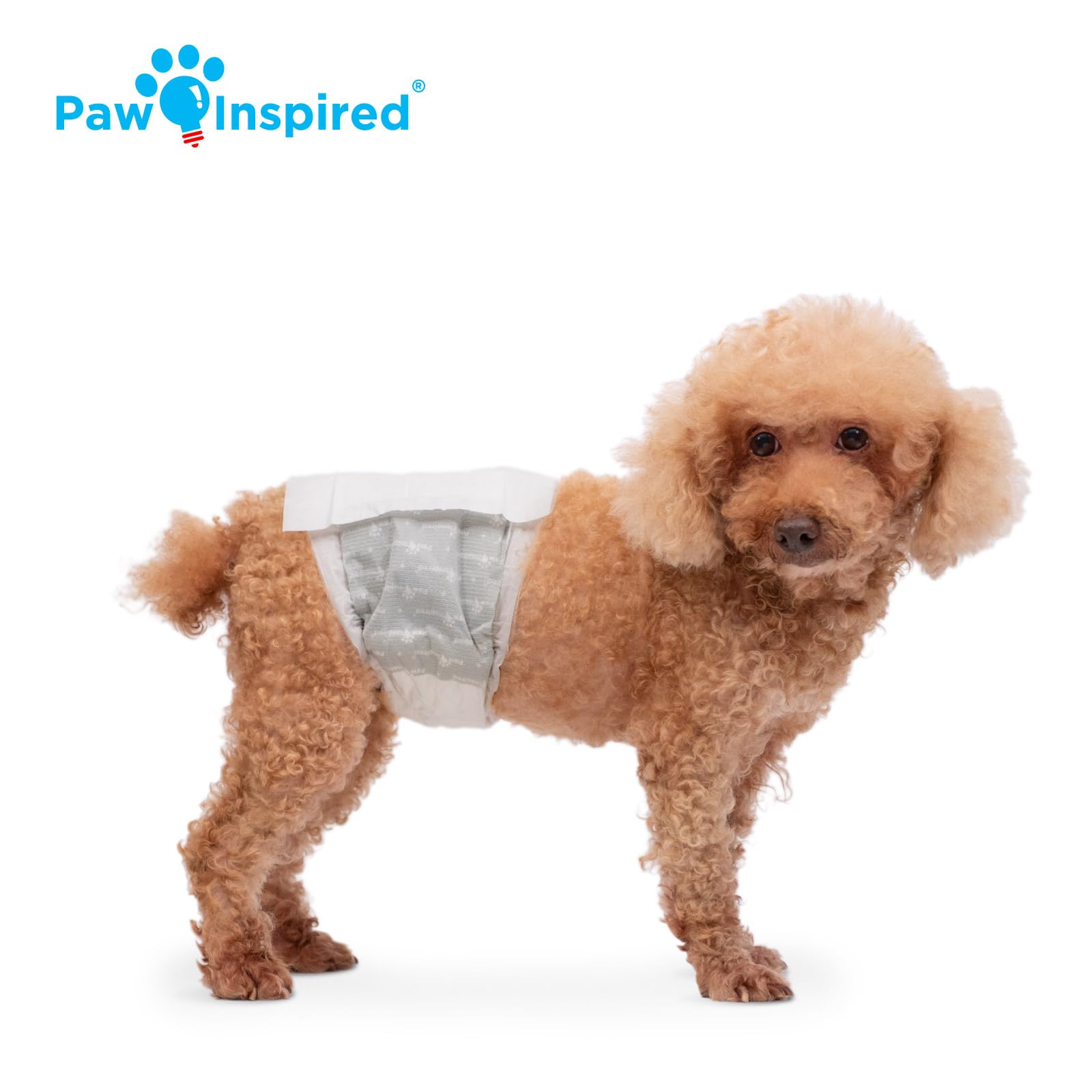 Paw Inspired diaper reveals absorbent core for leak protection demonstration.