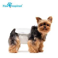 Paw Inspired disposable belly band on dog with secure fur-fasteners