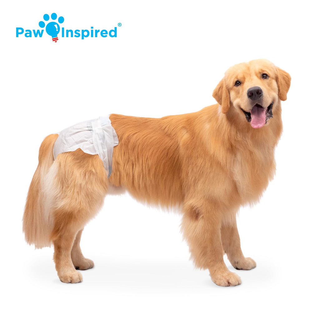 Paw Inspired DrySpeed technology visual showing quick urine gel formation
