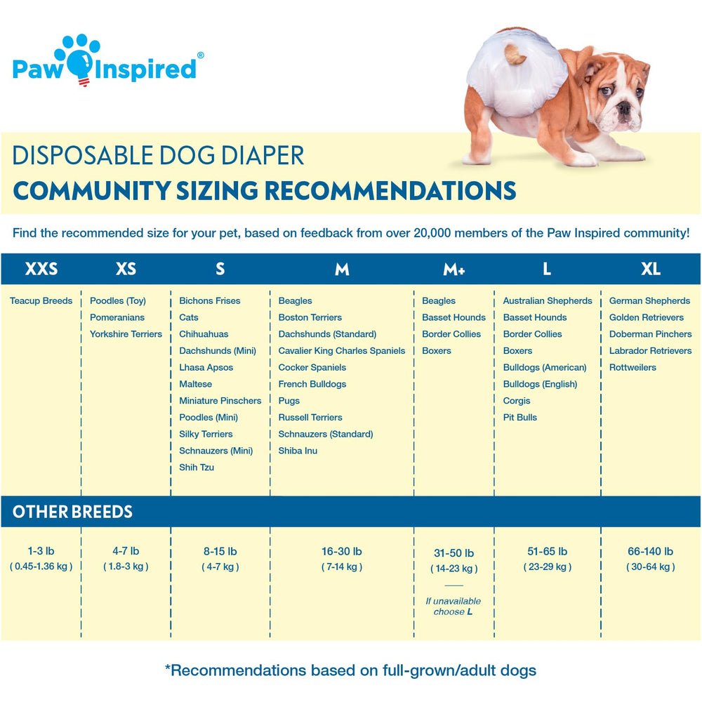 Paw Inspired dog diapers on a dog demonstrate secure, comfortable fit