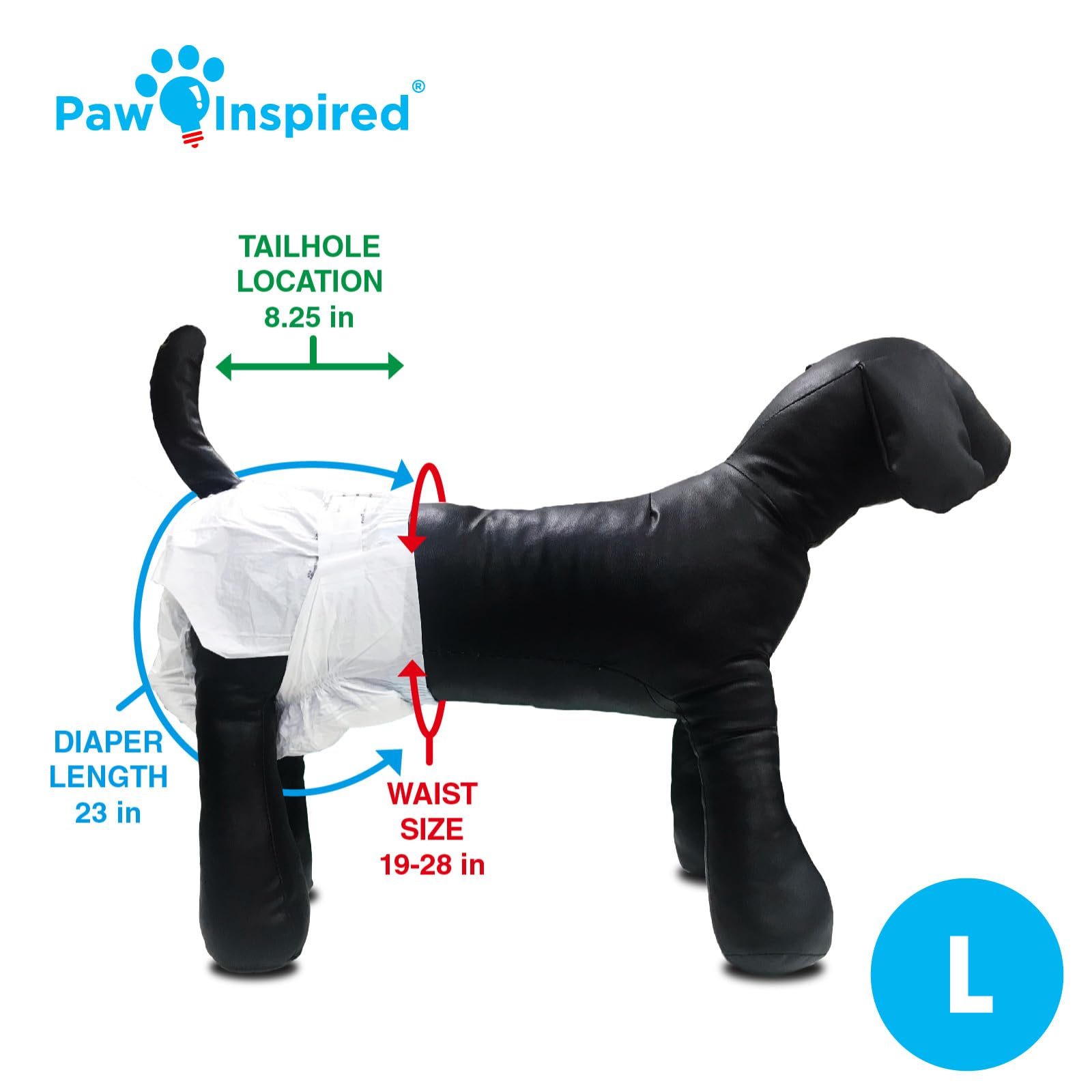 Paw Inspired diaper coverage for large breeds like Bulldogs and Dachshunds.
