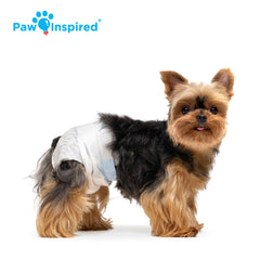 Paw Inspired dry-speed technology gel-conversion close-up for rapid urine containment.