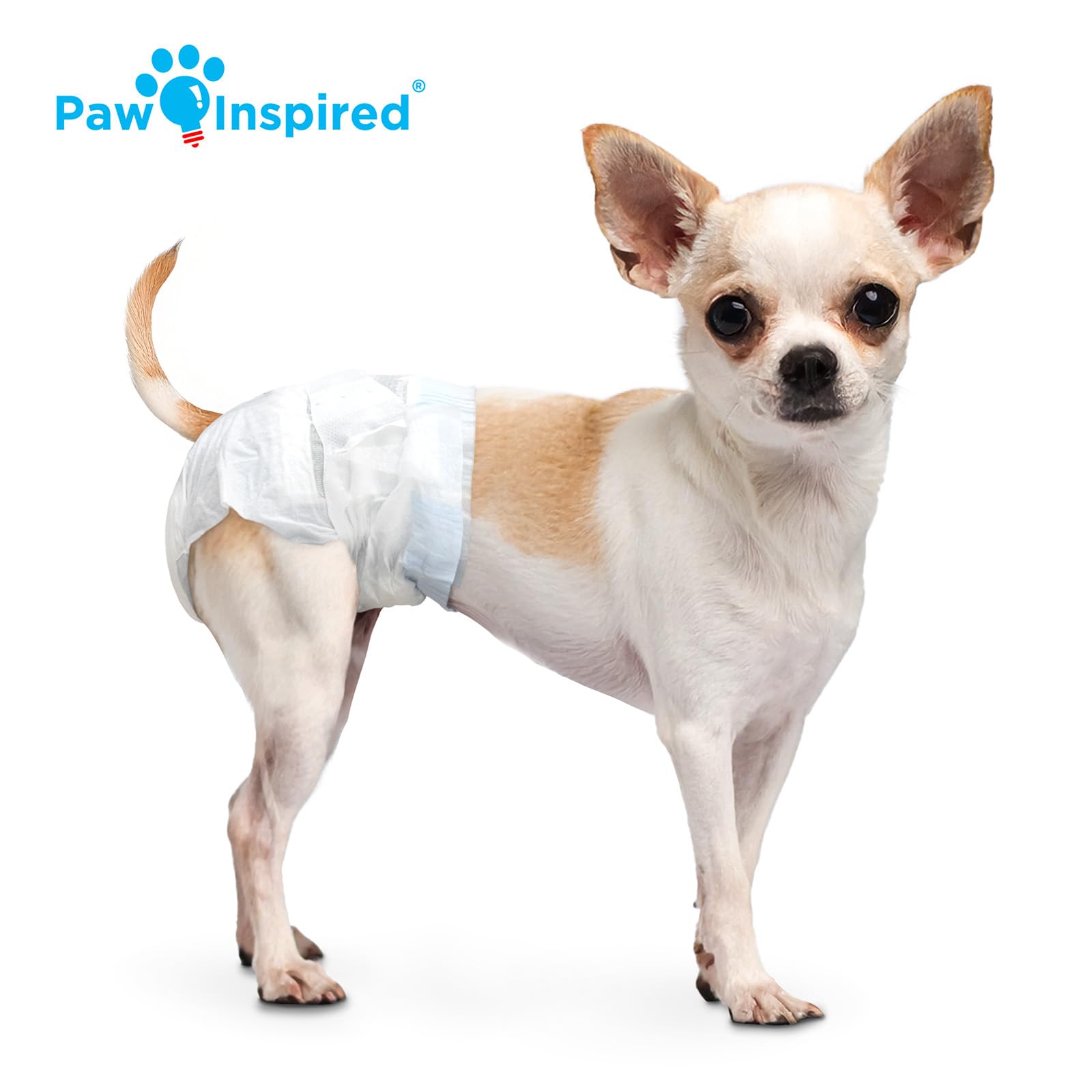 Paw Inspired female-dog diaper designed for heat and incontinence.