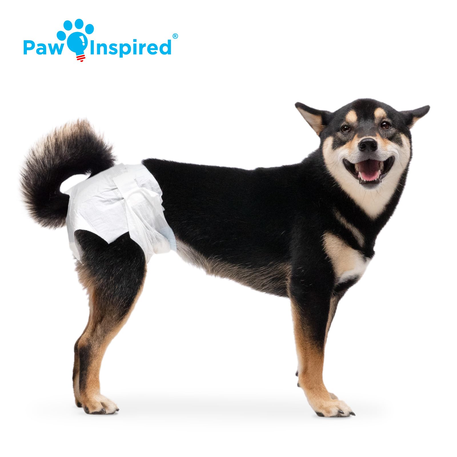 Paw Inspired fur-resistant fasteners showing secure closure