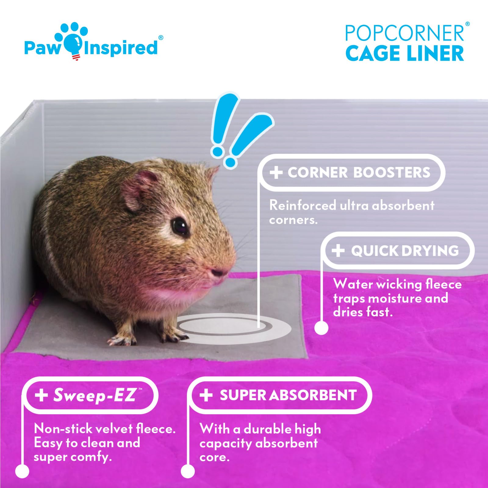 Paw Inspired guinea pig habitat essentials create a clean, cozy enclosure you can wash.