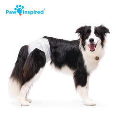 Paw Inspired large-dog diapers offer a secure, breathable fit for bigger breeds.