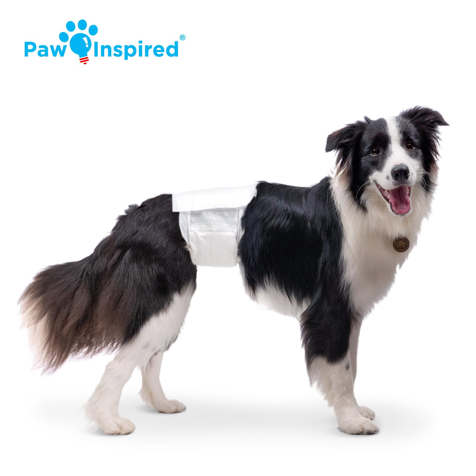 Paw Inspired leak-proof absorbent core keeps dog comfy and tidy.