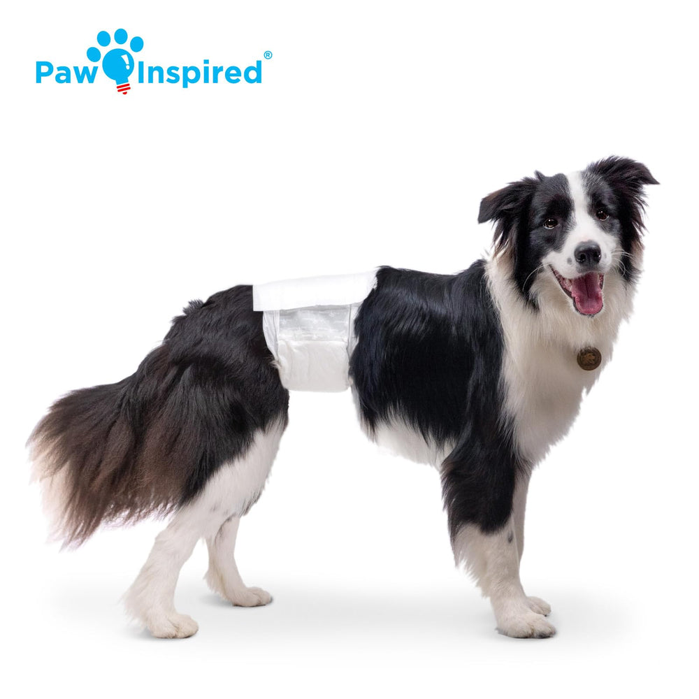 Paw Inspired leak-proof absorbent core keeps dog comfy and tidy.