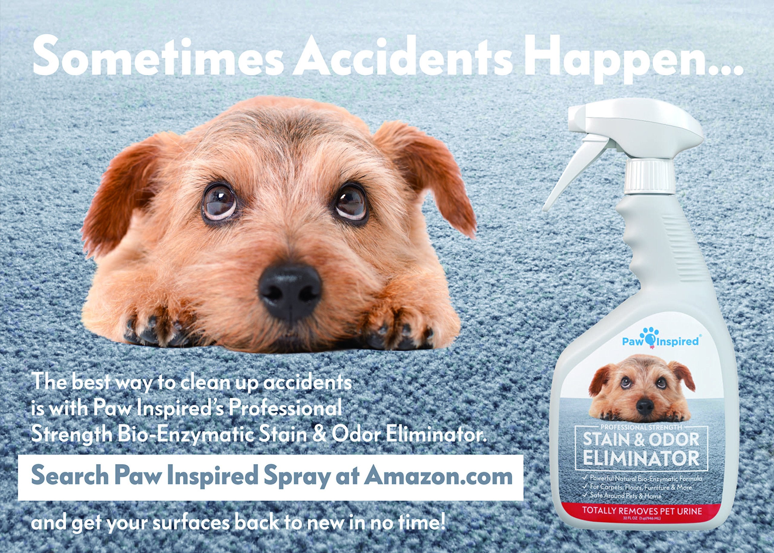 Paw Inspired leakproof-fit liner prevents leaks inside wraps and belly bands.