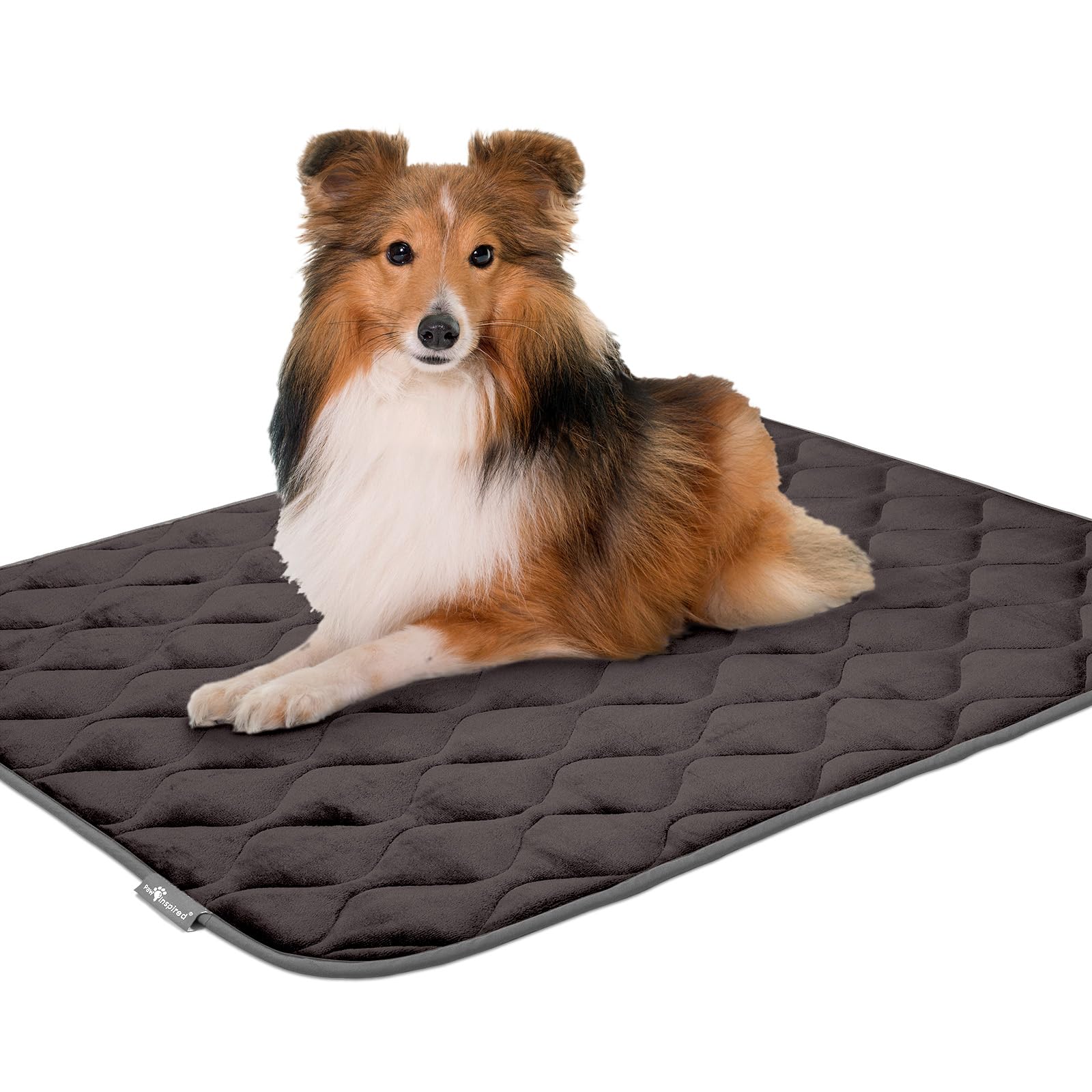 Paw Inspired plush dog bed mat offers comfort in crate or home naps.