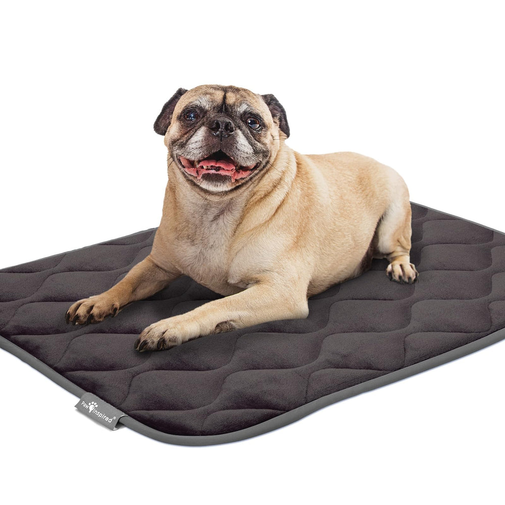 Paw Inspired plush gray crate mat offers a comfortable resting spot.
