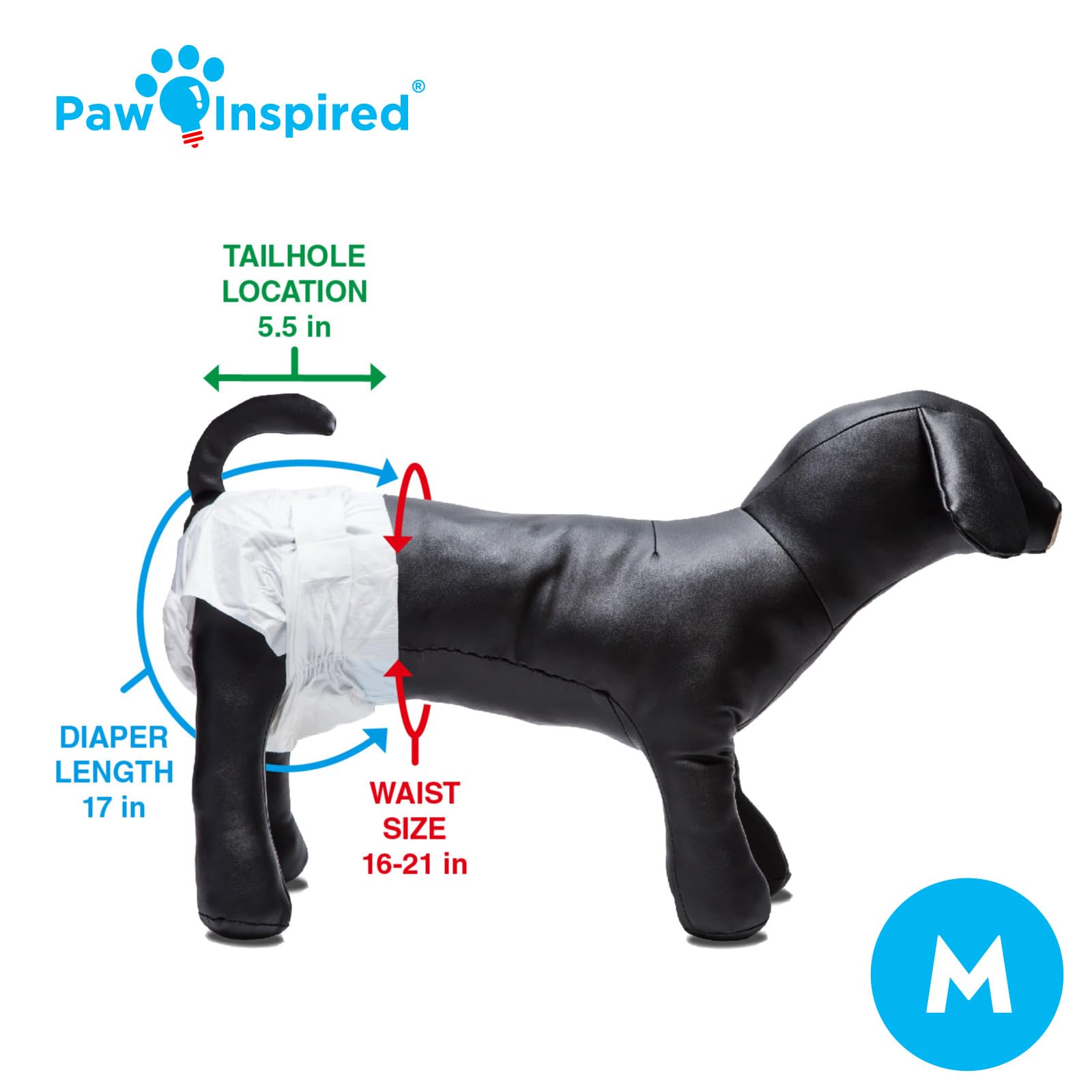 Paw Inspired sizing chart and fit guide to help find the right size