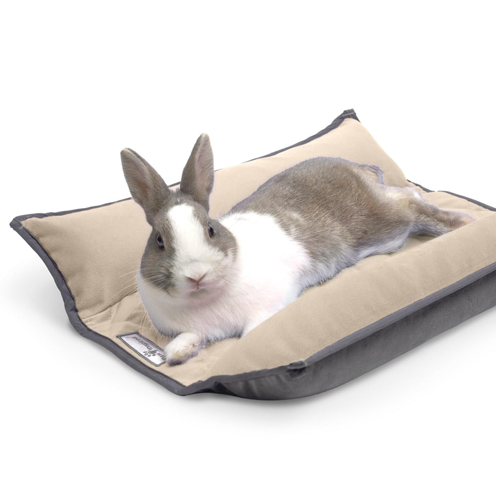 Paw Inspired Snuggle Bunny Bed in gray with padded sides offers secure, calming rest for small pets.