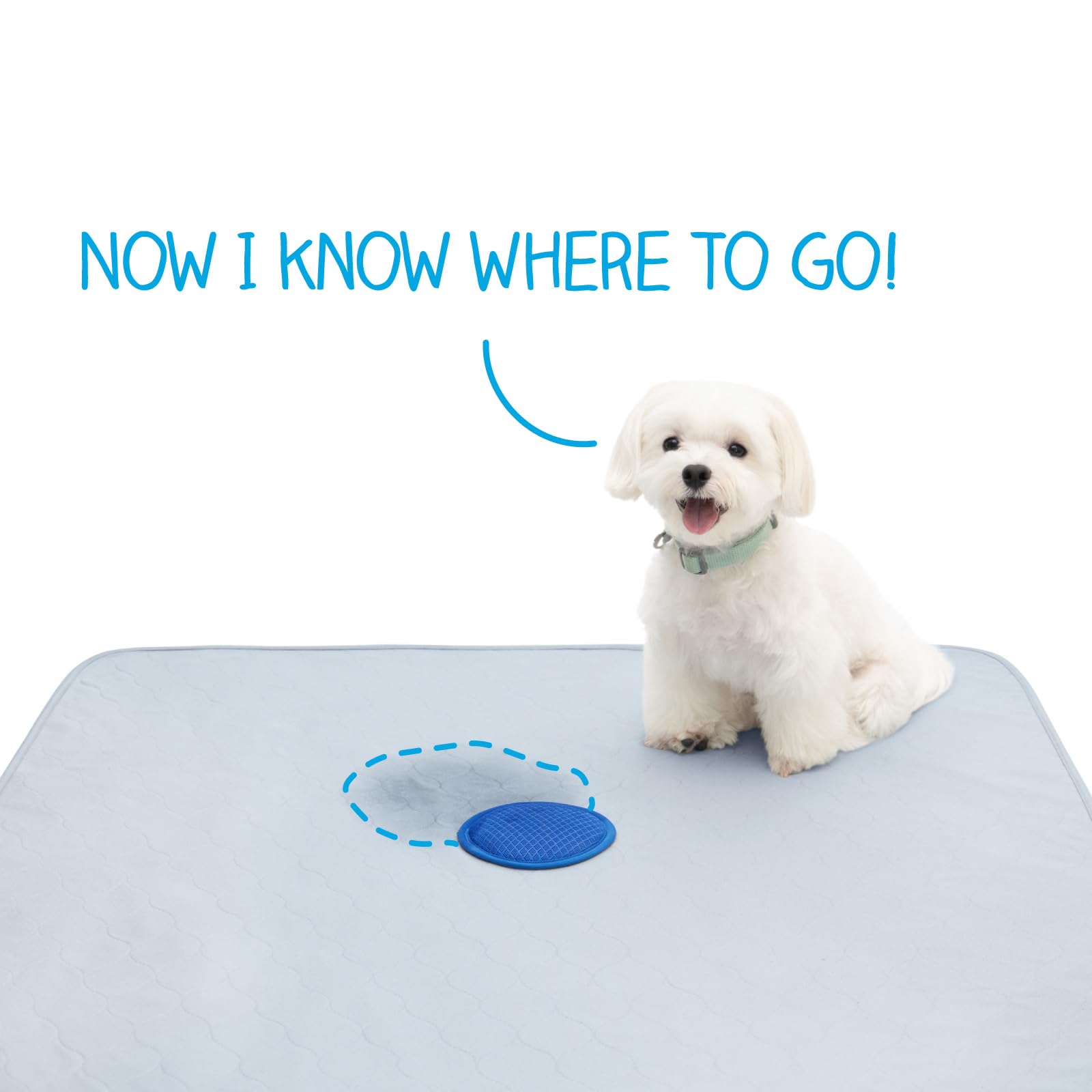Paw Inspired Speed Spot washable reusable pad saves money and reduces waste.