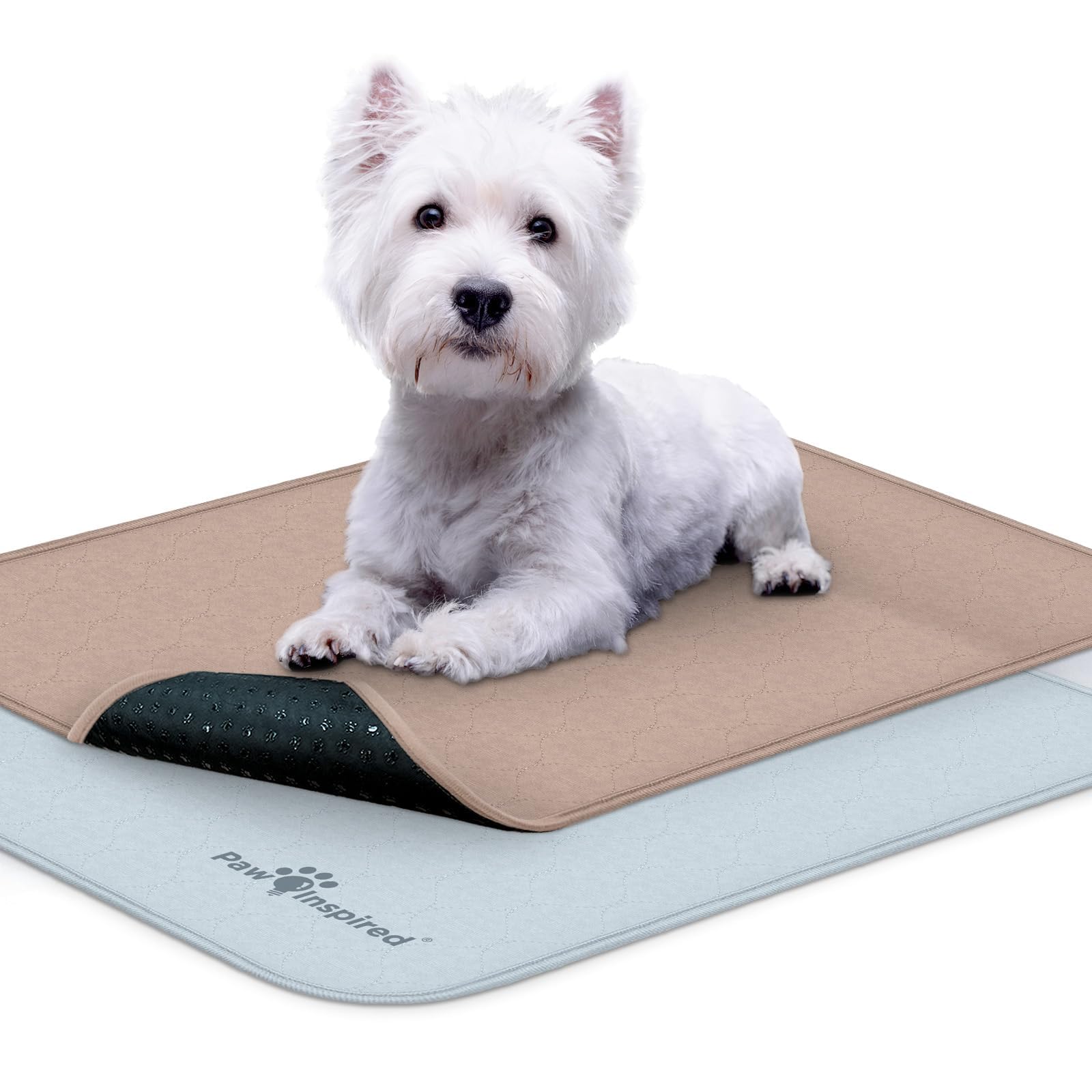 Paw Inspired leakproof crate liner keeps 24x18 crates dry and clean