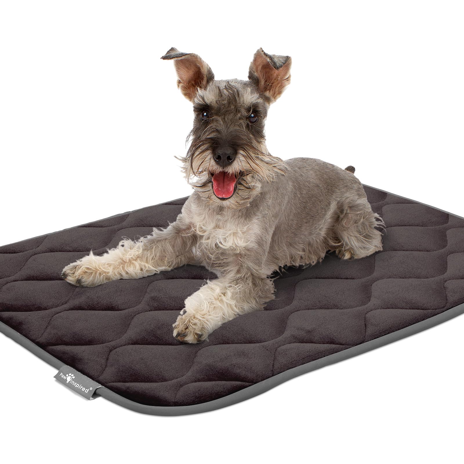 Paw Inspired leakproof backing protects floors during play and rest.