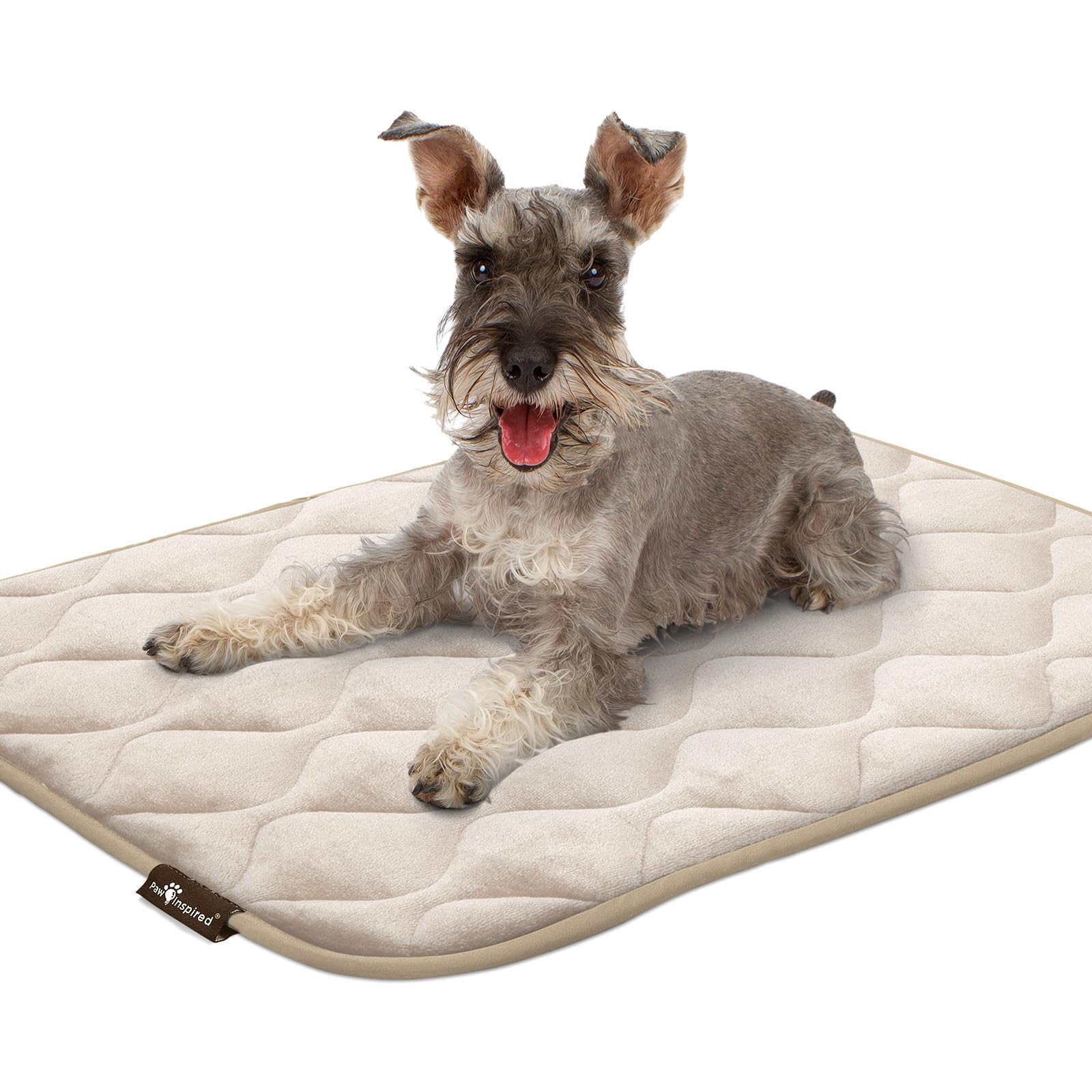 Paw Inspired machine-washable design makes cleaning easy